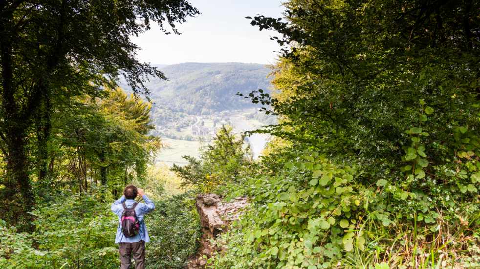 Man stood in forest looking at view through binoculars